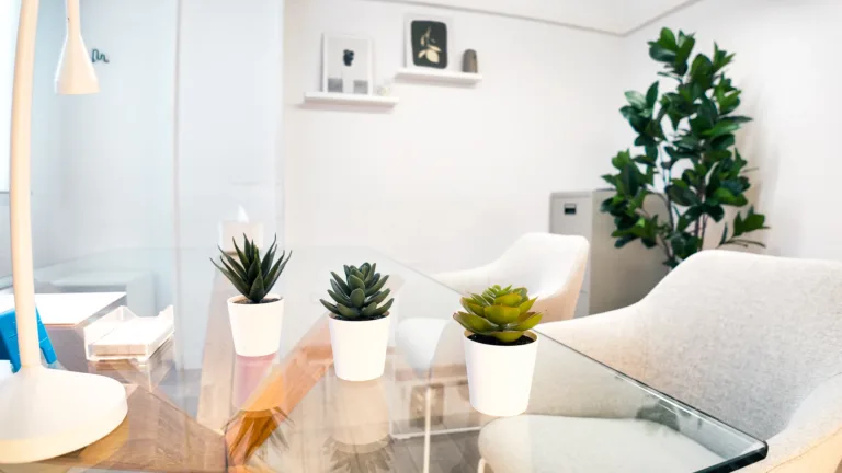 Despacho Psicología Paseo Constitución